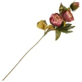 [68b3841] Gałązka trzech kwiatów jesiennej peonii różowo- beżowa 72cm