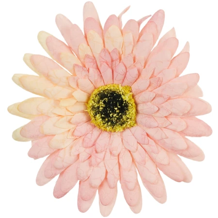 [68b7504] Główka kwiatowa gerbera 12cm koralowo- kremowa