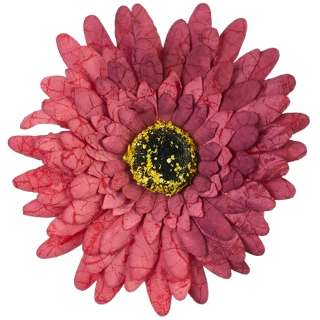 [68b7507] Główka kwiatowa gerbera 12cm wiśniowa cieniowana