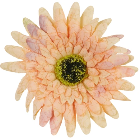 [68b7509] Główka kwiatowa gerbera 12cm brzoskwiniowa cieniowana