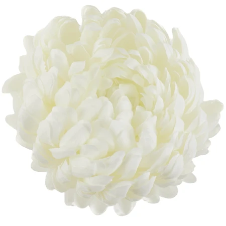 [68d02001] Chryzantema główka pełna 14cm kremowobiała