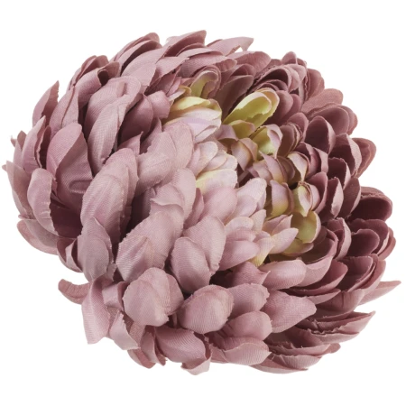[68d02087] Chryzantema główka pełna 14cm przydymiony róż