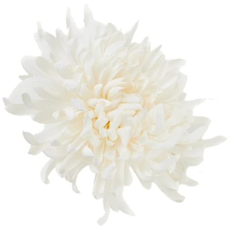 [68d2903] Chryzantema główka płaska 20cm biało- beżowa
