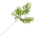 [68fe1202] Gałązka liści paproci 80cm ciemnozielona