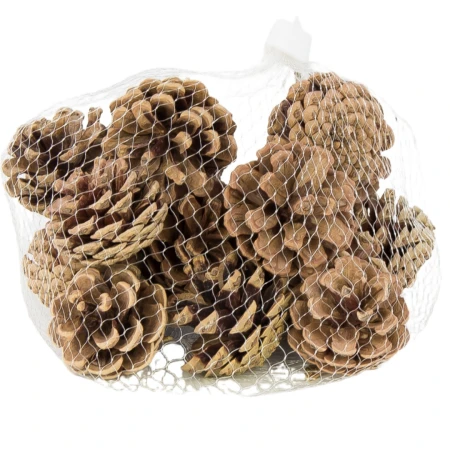[59xy1701] Szyszki dekoracyjne naturalne 4cm 18szt