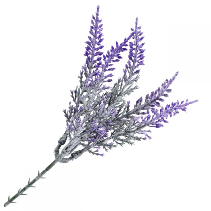 [68kr2162a] Gałązka wrzosu fioletowa 25cm