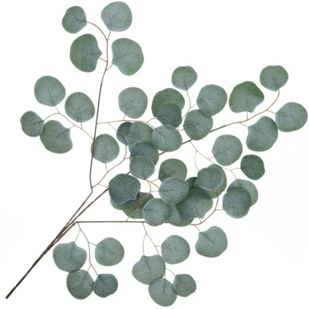 [68kr2350b] Duża gałązka zielonych okrągłych omszałych liści 69cm