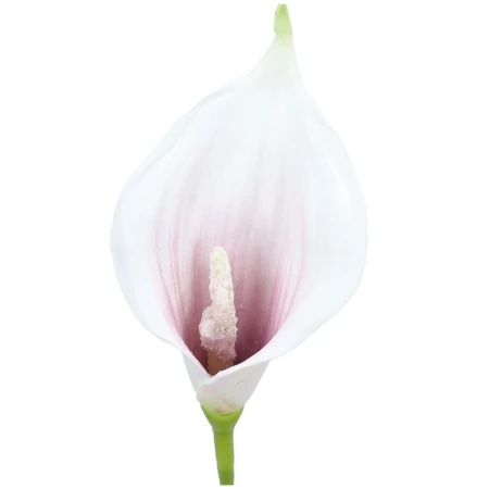 [68kr1941i] Główka z pianki calla biało- fioletowa 12cm 6szt