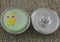 31845 Nap z kaboszonem z obrazkiem sowa Just Born 18mm