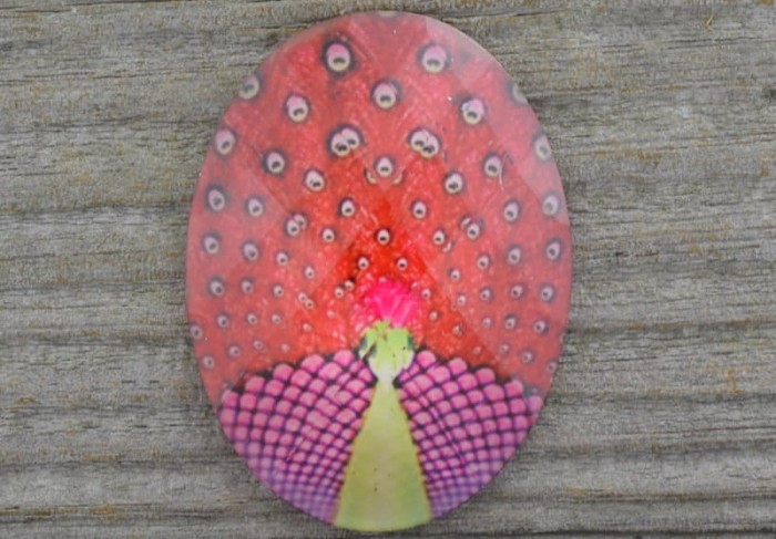046175 Kaboszon z żywicy z obrazkiem 40*30mm paw czerwony