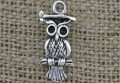 307200 Zawieszka mała sowa z miejscami na cyrkonie w kolorze srebrnym