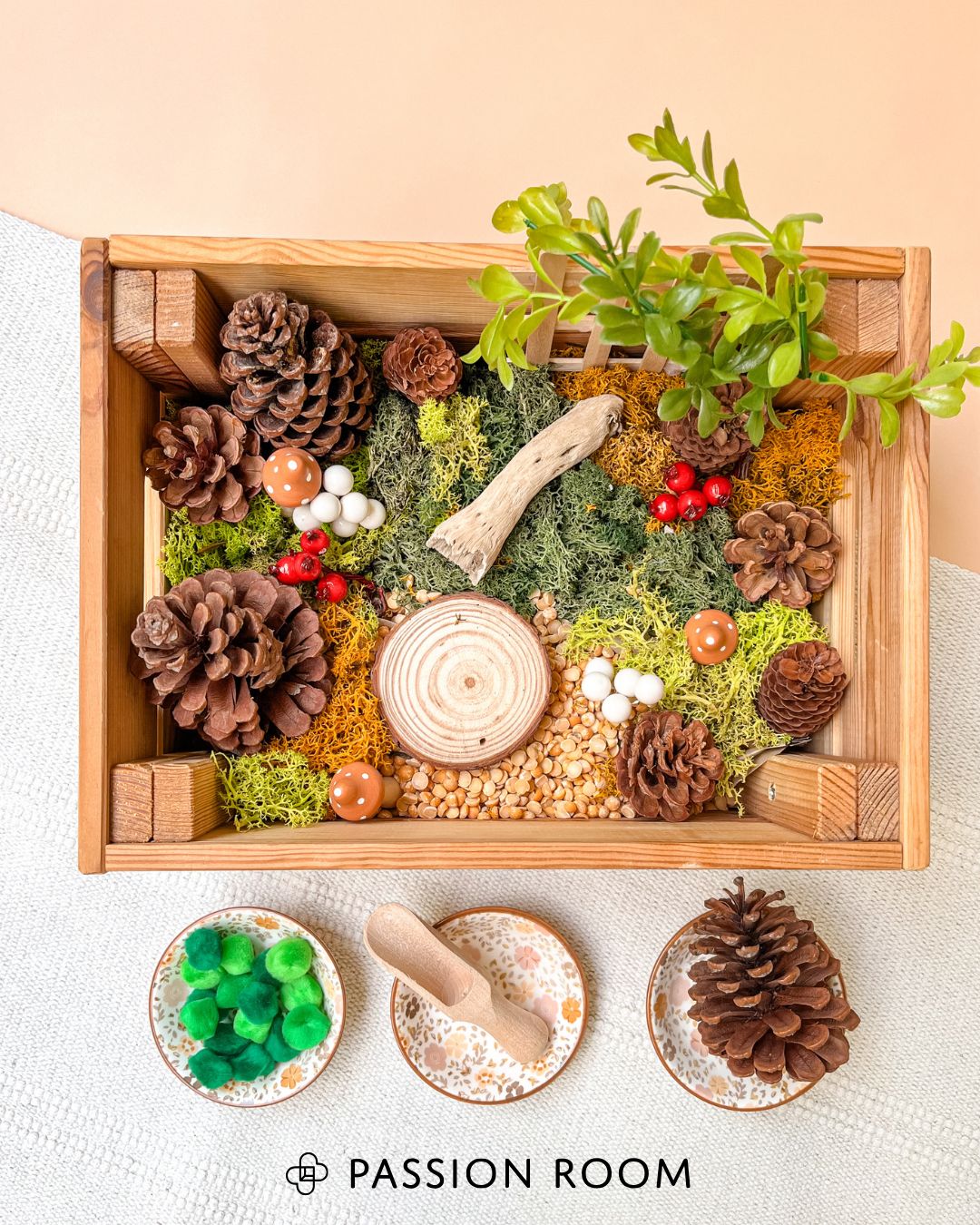 Kącik sensoryczny z szyszek, mchu chrobotka, sztucznych gałązek 